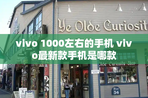 vivo 1000左右的手机 vivo最新款手机是哪款-第1张图片-星选测评