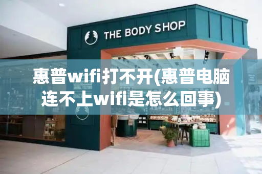 惠普wifi打不开(惠普电脑连不上wifi是怎么回事)-第1张图片-星选测评