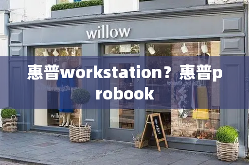 惠普workstation？惠普probook