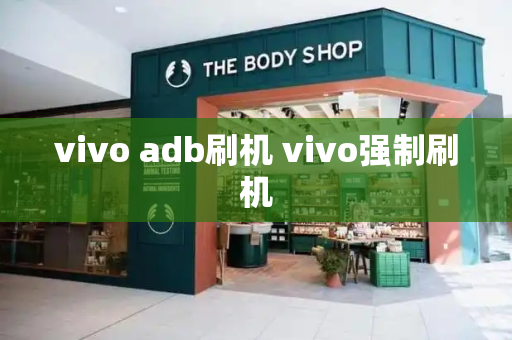 vivo adb刷机 vivo强制刷机-第1张图片-星选测评