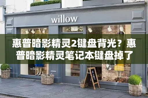 惠普暗影精灵2键盘背光？惠普暗影精灵笔记本键盘掉了-第1张图片-星选测评