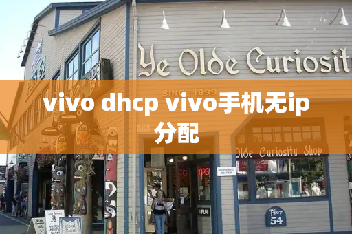 vivo dhcp vivo手机无ip分配