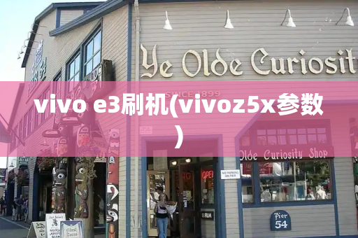 vivo e3刷机(vivoz5x参数)