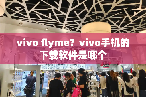 vivo flyme？vivo手机的下载软件是哪个-第1张图片-星选测评