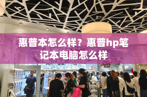 惠普本怎么样？惠普hp笔记本电脑怎么样-第1张图片-星选测评