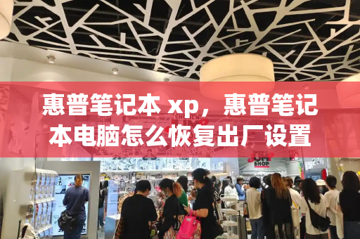 惠普笔记本 xp，惠普笔记本电脑怎么恢复出厂设置-第1张图片-星选测评