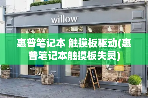 惠普笔记本 触摸板驱动(惠普笔记本触摸板失灵)-第1张图片-星选测评