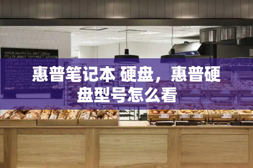 惠普笔记本 硬盘，惠普硬盘型号怎么看-第1张图片-星选测评