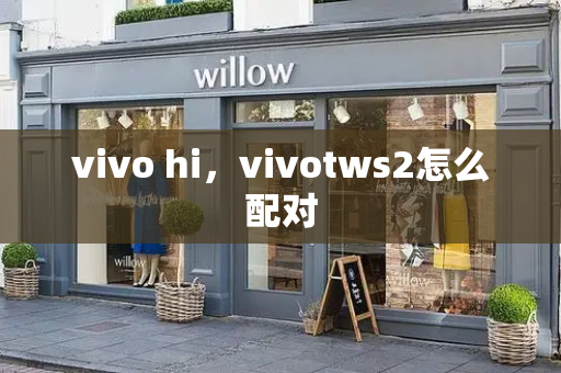 vivo hi，vivotws2怎么配对