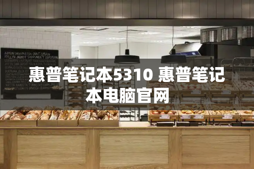 惠普笔记本5310 惠普笔记本电脑官网-第1张图片-星选测评