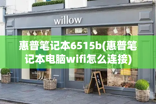 惠普笔记本6515b(惠普笔记本电脑wifi怎么连接)-第1张图片-星选测评