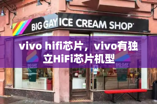 vivo hifi芯片，vivo有独立HiFi芯片机型-第1张图片-星选测评
