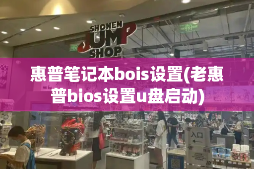 惠普笔记本bois设置(老惠普bios设置u盘启动)