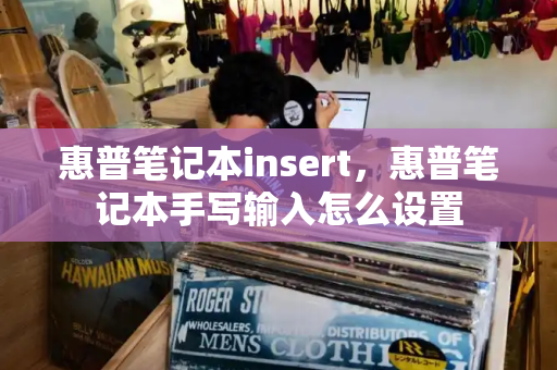 惠普笔记本insert，惠普笔记本手写输入怎么设置-第1张图片-星选测评