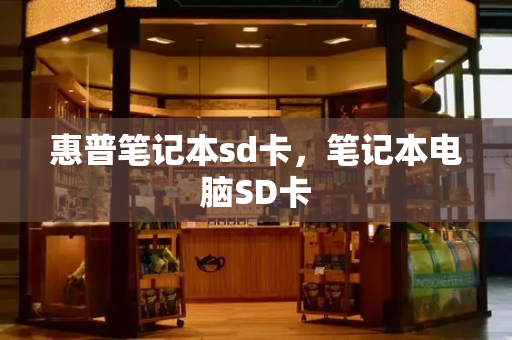 惠普笔记本sd卡，笔记本电脑SD卡-第1张图片-星选测评