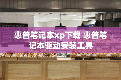 惠普笔记本xp下载 惠普笔记本驱动安装工具