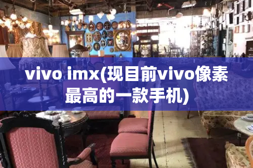 vivo imx(现目前vivo像素最高的一款手机)