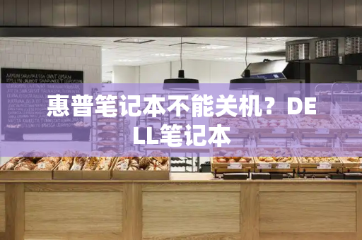 惠普笔记本不能关机？DELL笔记本-第1张图片-星选测评