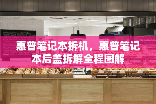 惠普笔记本拆机，惠普笔记本后盖拆解全程图解-第1张图片-星选测评