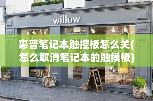 惠普笔记本触控板怎么关(怎么取消笔记本的触摸板)-第1张图片-星选测评