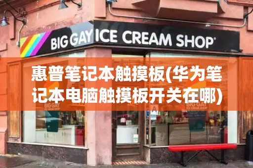 惠普笔记本触摸板(华为笔记本电脑触摸板开关在哪)