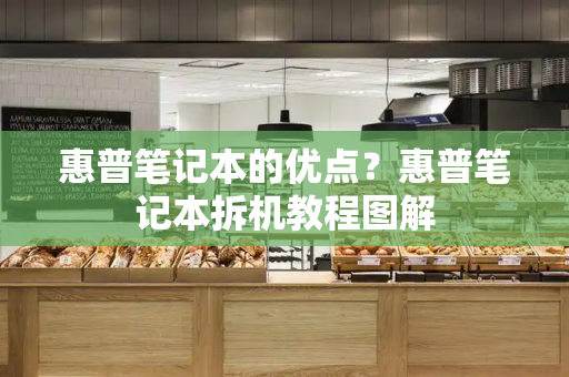 惠普笔记本的优点？惠普笔记本拆机教程图解-第1张图片-星选测评