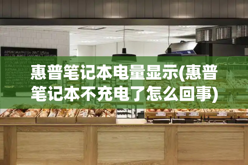 惠普笔记本电量显示(惠普笔记本不充电了怎么回事)-第1张图片-星选测评