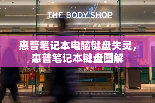 惠普笔记本电脑键盘失灵，惠普笔记本键盘图解-第1张图片-星选测评