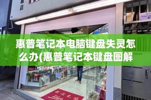 惠普笔记本电脑键盘失灵怎么办(惠普笔记本键盘图解)-第1张图片-星选测评
