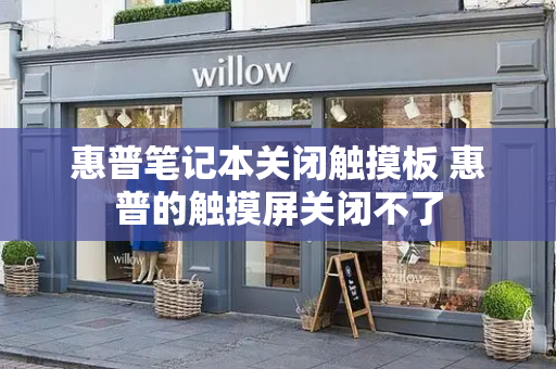 惠普笔记本关闭触摸板 惠普的触摸屏关闭不了