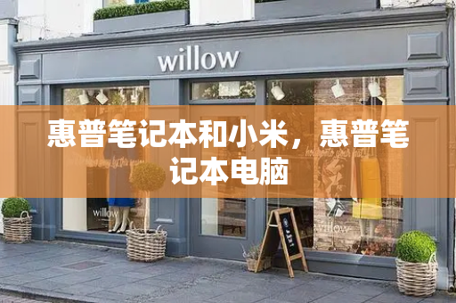 惠普笔记本和小米，惠普笔记本电脑
