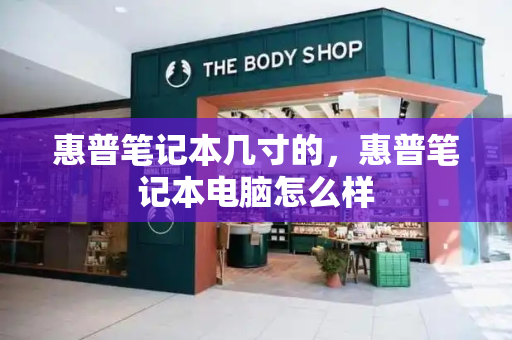 惠普笔记本几寸的，惠普笔记本电脑怎么样-第1张图片-星选测评