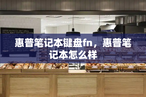 惠普笔记本键盘fn，惠普笔记本怎么样-第1张图片-星选测评