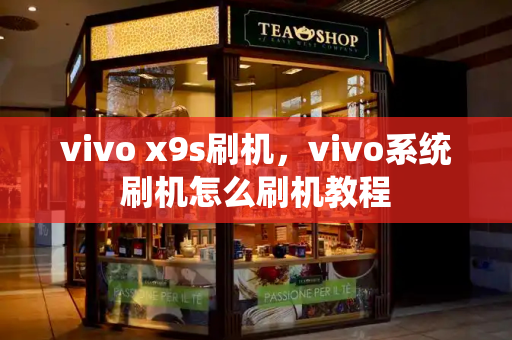vivo x9s刷机，vivo系统刷机怎么刷机教程-第1张图片-星选测评
