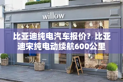 比亚迪纯电汽车报价？比亚迪宋纯电动续航600公里-第1张图片-星选测评