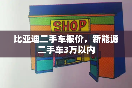 比亚迪二手车报价，新能源二手车3万以内-第1张图片-星选测评