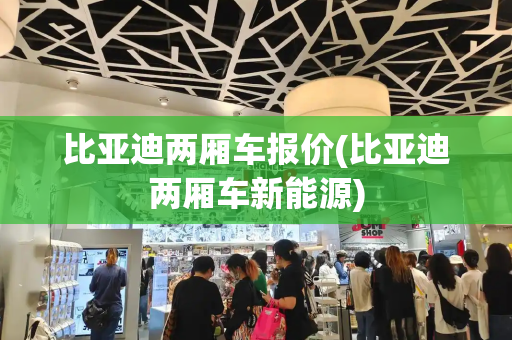 比亚迪两厢车报价(比亚迪两厢车新能源)