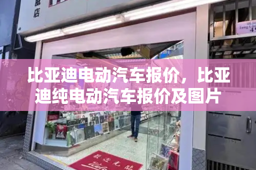 比亚迪电动汽车报价，比亚迪纯电动汽车报价及图片