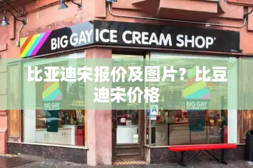比亚迪宋报价及图片？比豆迪宋价格-第1张图片-星选测评