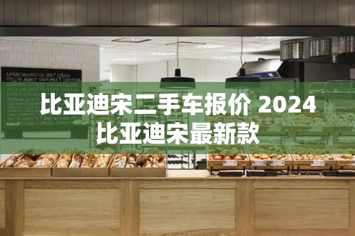 比亚迪宋二手车报价 2024比亚迪宋最新款-第1张图片-星选测评