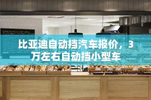 比亚迪自动挡汽车报价，3万左右自动挡小型车