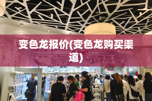 变色龙报价(变色龙购买渠道)