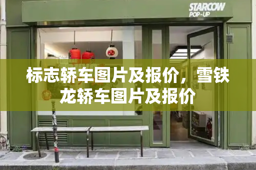 标志轿车图片及报价，雪铁龙轿车图片及报价-第1张图片-星选测评