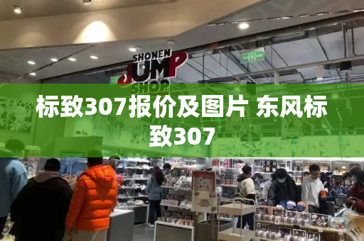 标致307报价及图片 东风标致307-第1张图片-星选测评