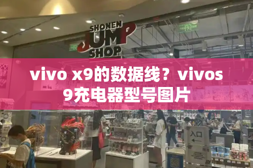 vivo x9的数据线？vivos9充电器型号图片
