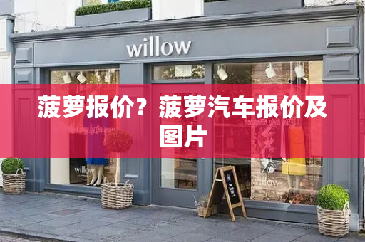 菠萝报价？菠萝汽车报价及图片-第1张图片-星选测评