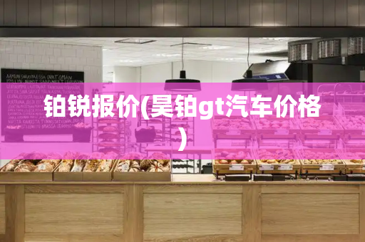 铂锐报价(昊铂gt汽车价格)-第1张图片-星选测评
