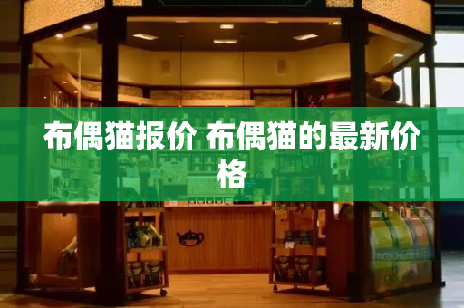 布偶猫报价 布偶猫的最新价格-第1张图片-星选测评