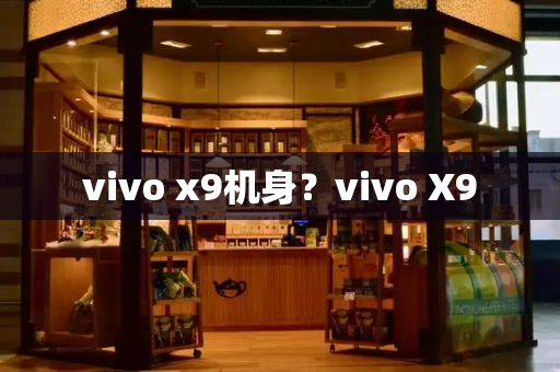 vivo x9机身？vivo X9-第1张图片-星选测评