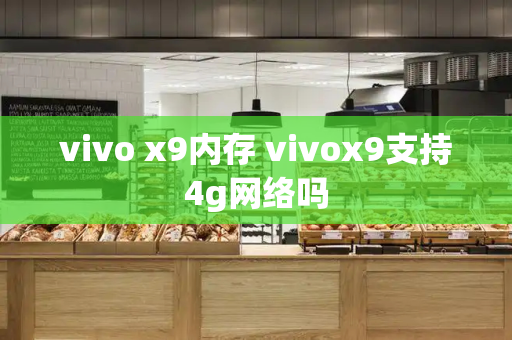 vivo x9内存 vivox9支持4g网络吗